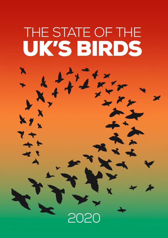 State of UK's Birds